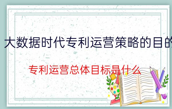 大数据时代专利运营策略的目的 专利运营总体目标是什么？